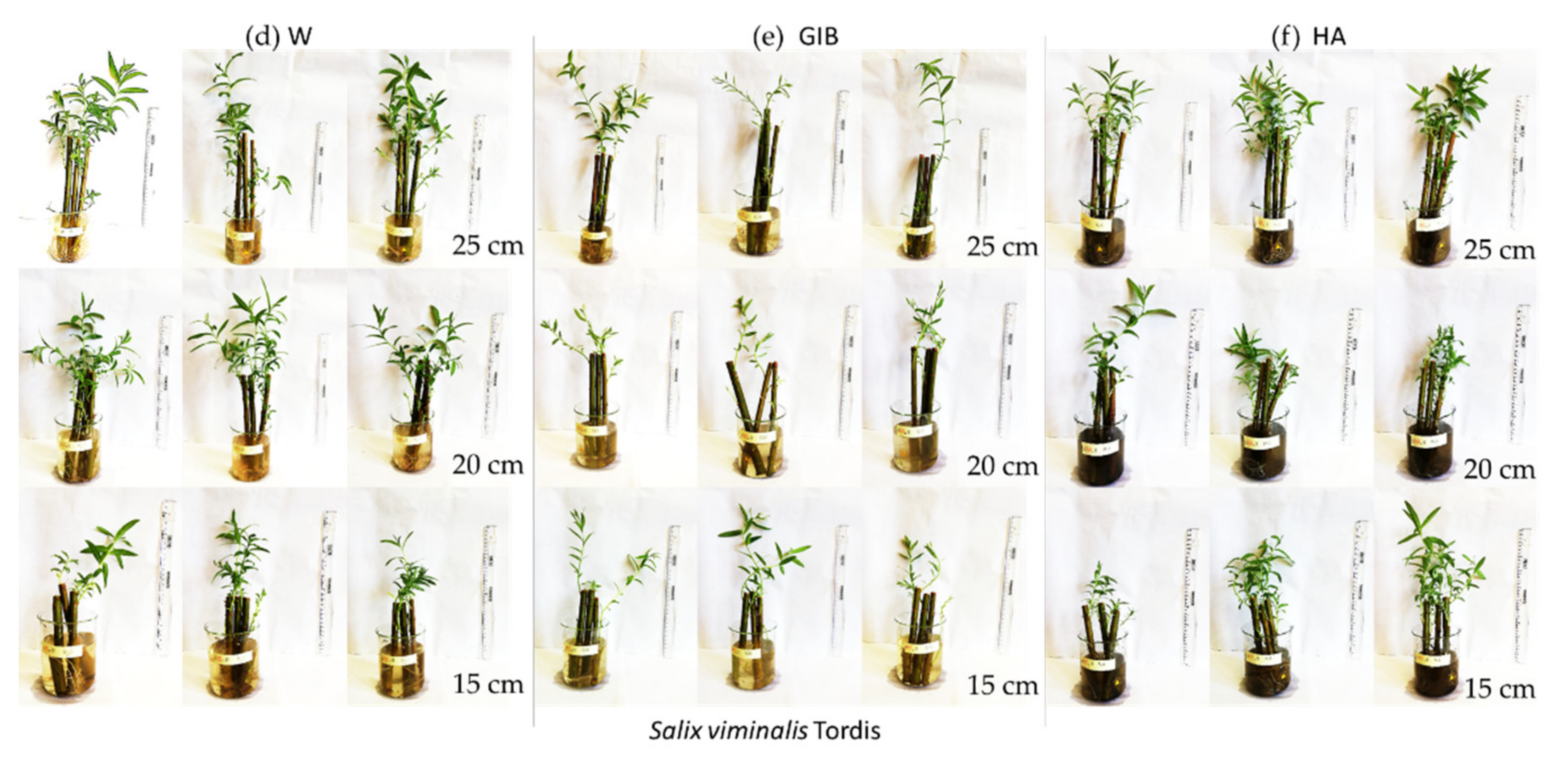 Sustainability 14 09272 g001b