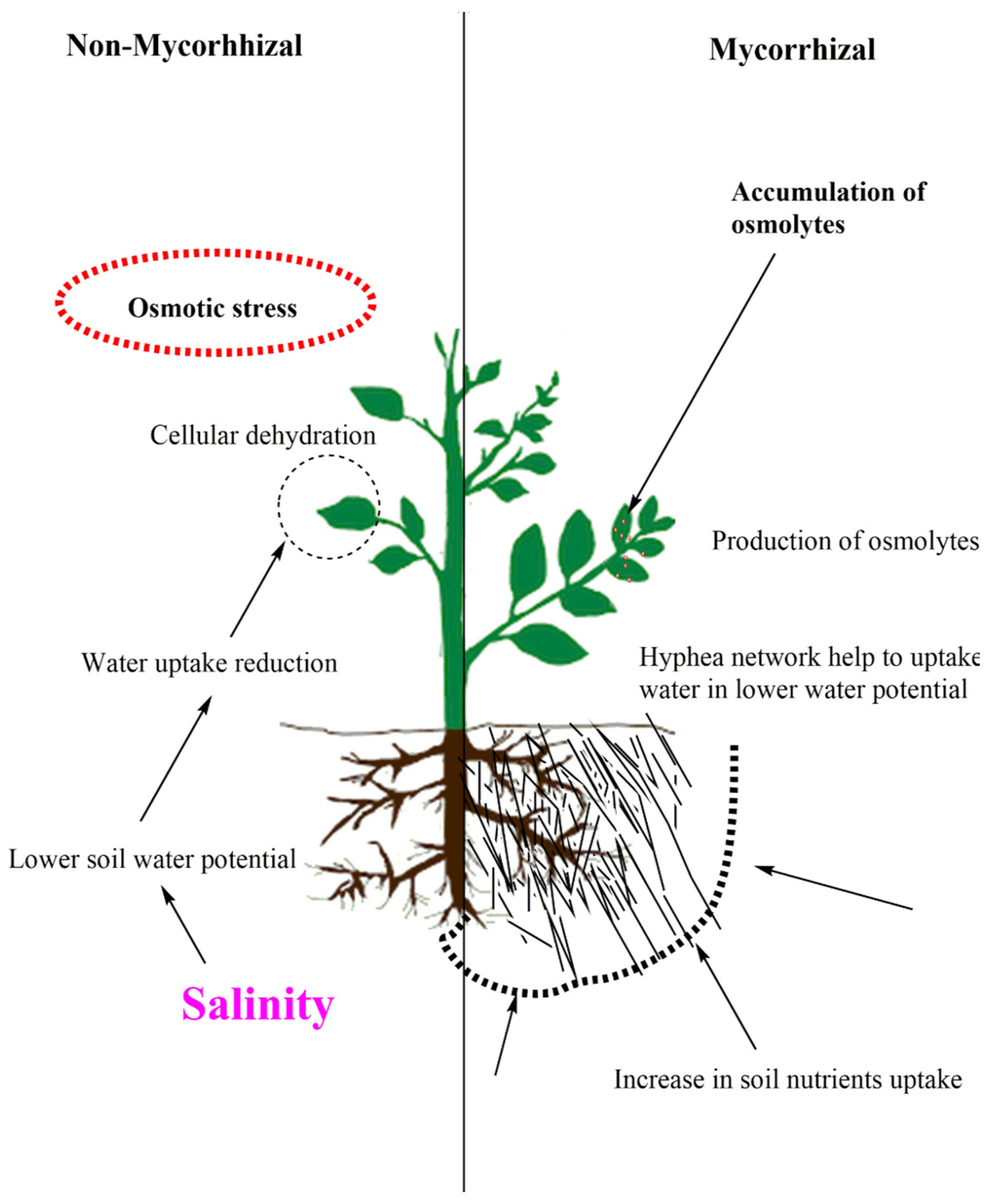 Sustainability 14 09280 g002 Sustainability 14 09280 g002