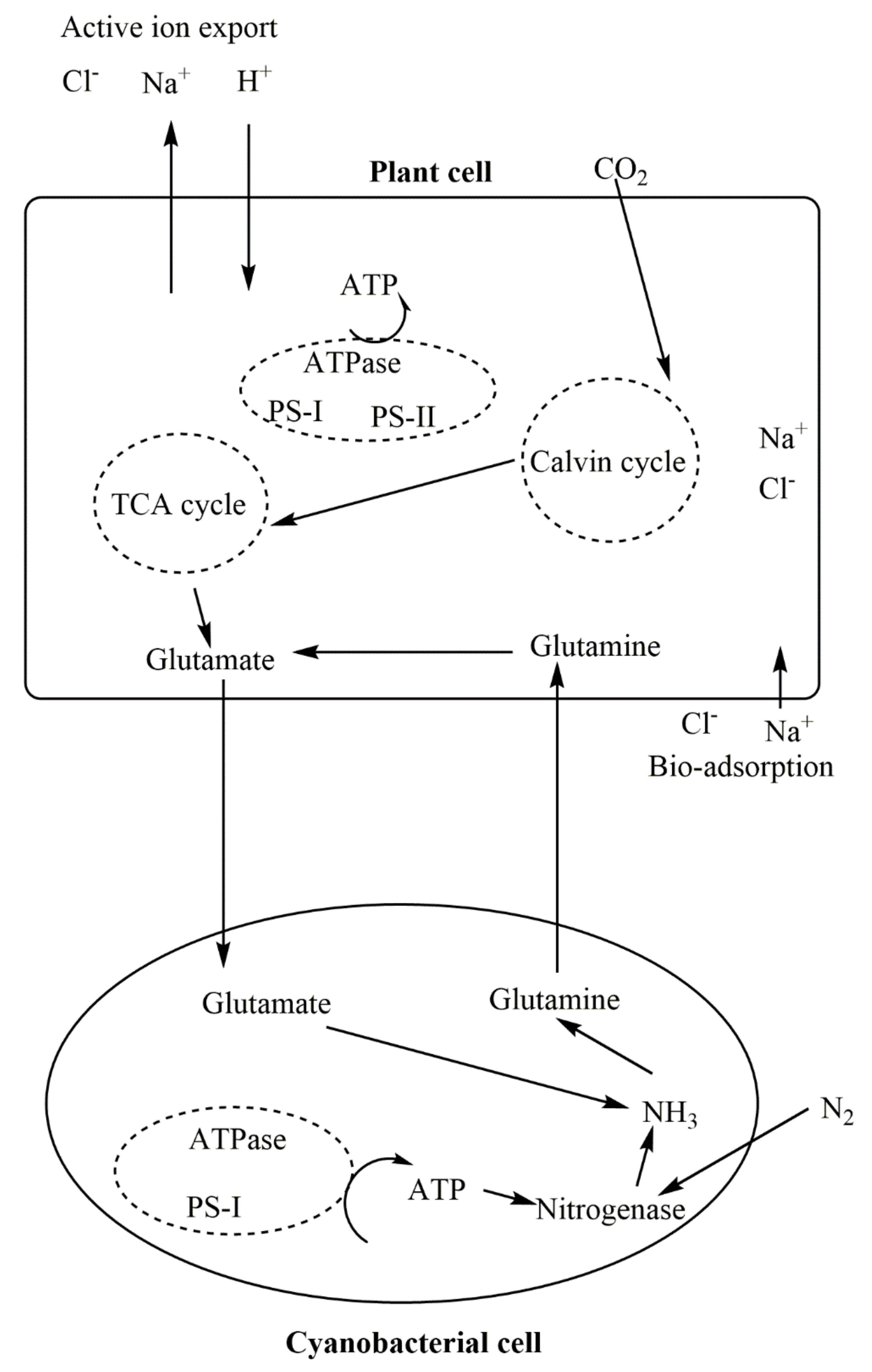 Sustainability 14 09280 g003 Sustainability 14 09280 g003