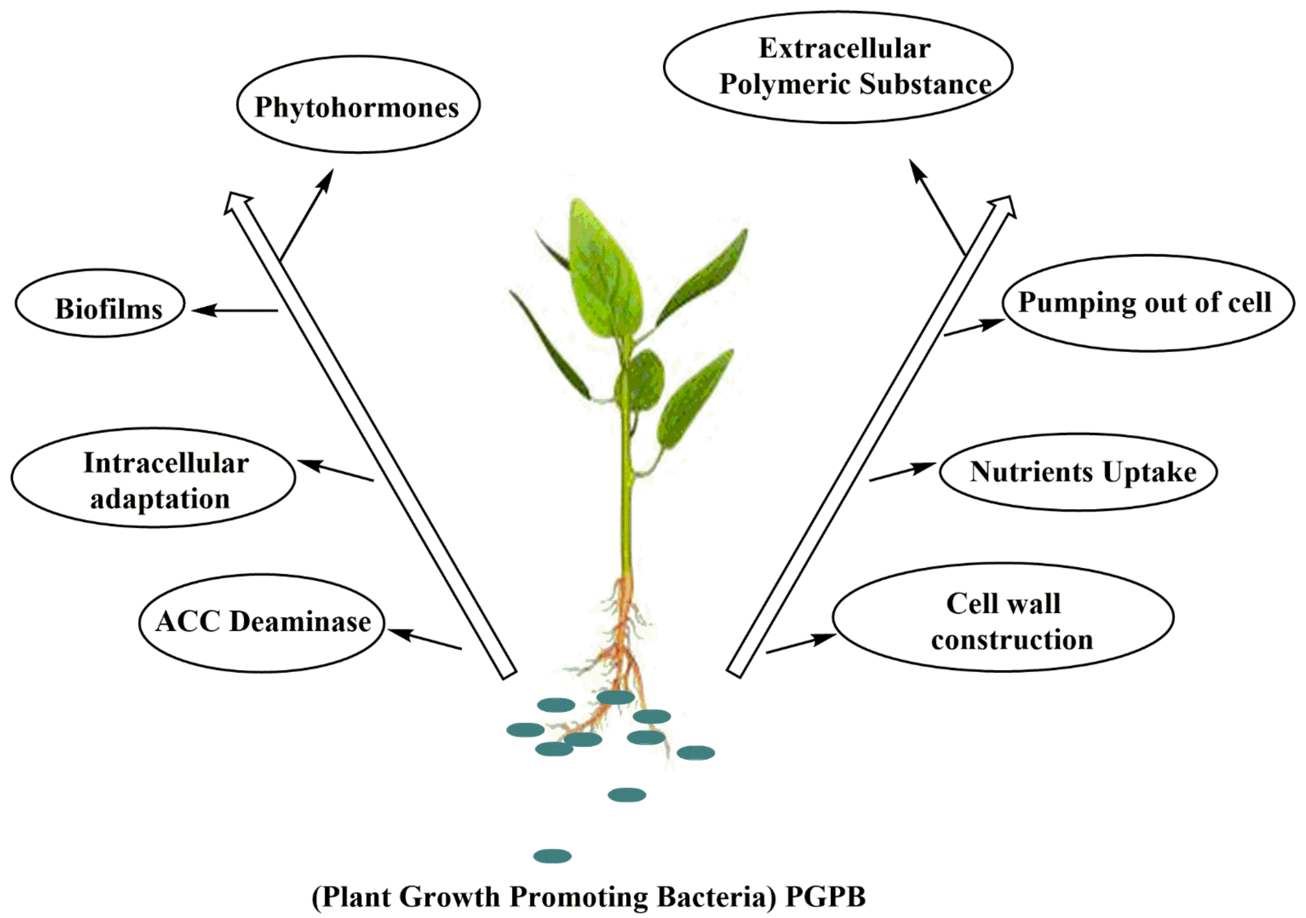 Sustainability 14 09280 g004 Sustainability 14 09280 g004