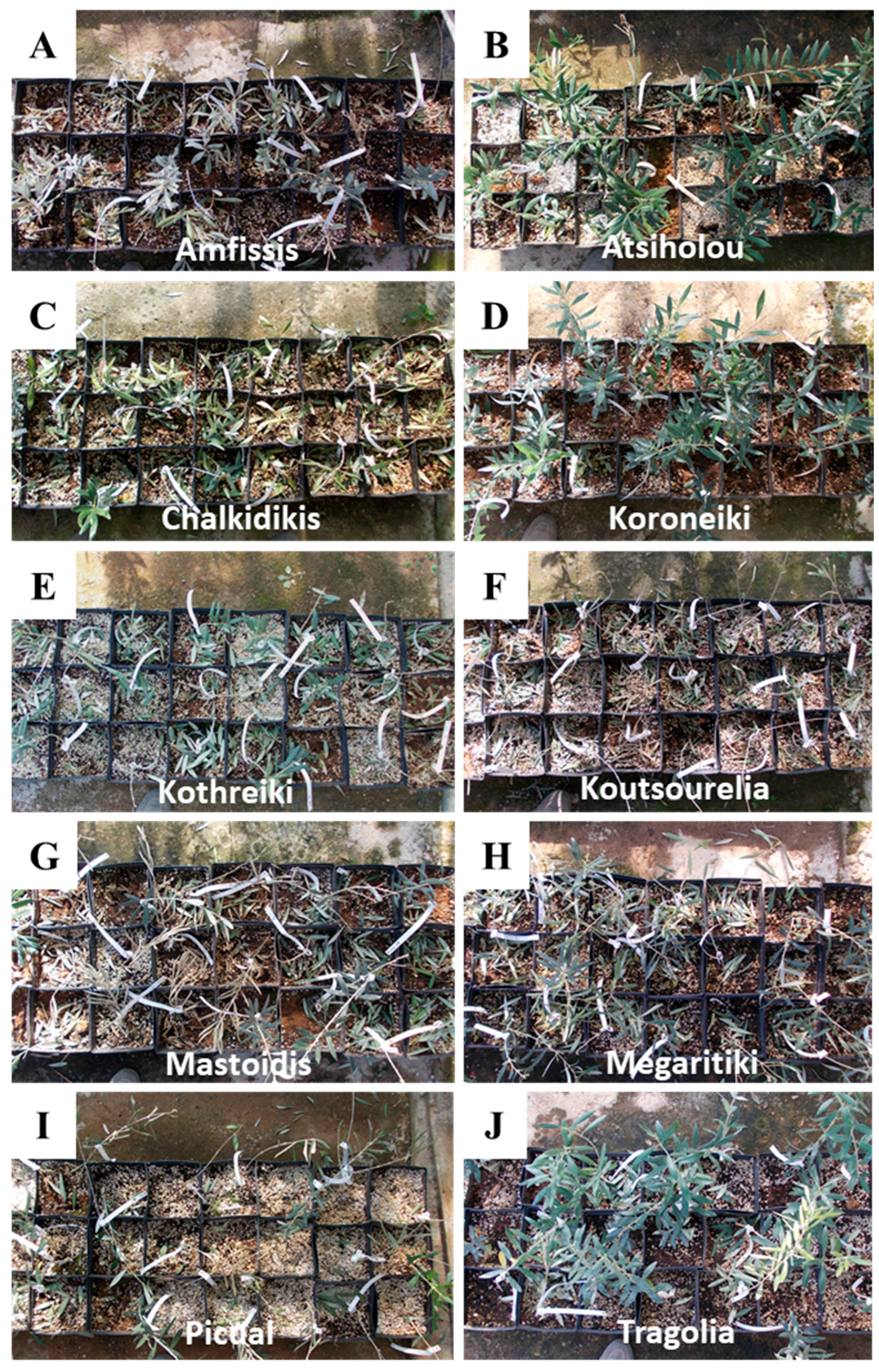 Sustainability 14 09342 g002 550