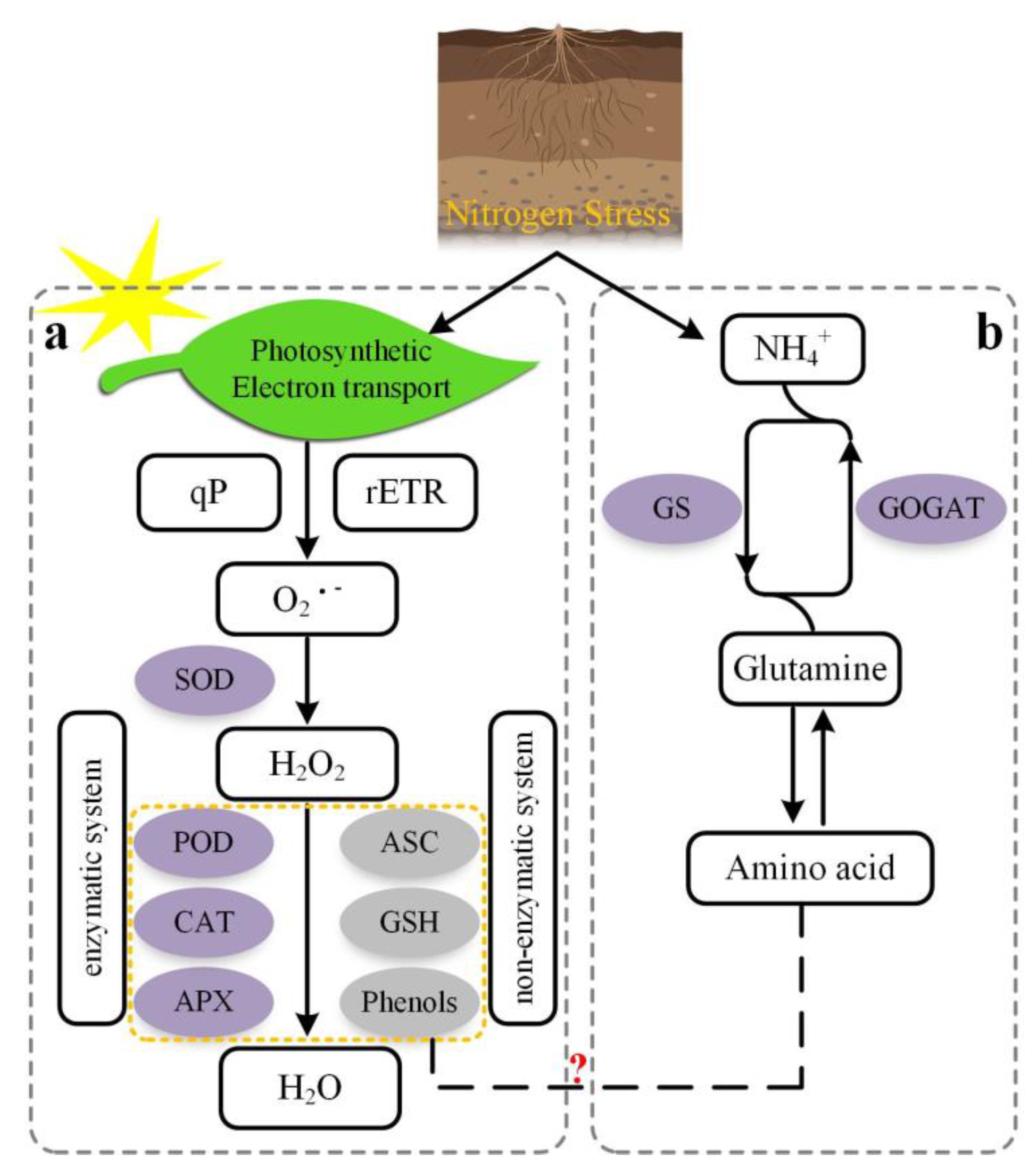 Sustainability 14 09354 g006