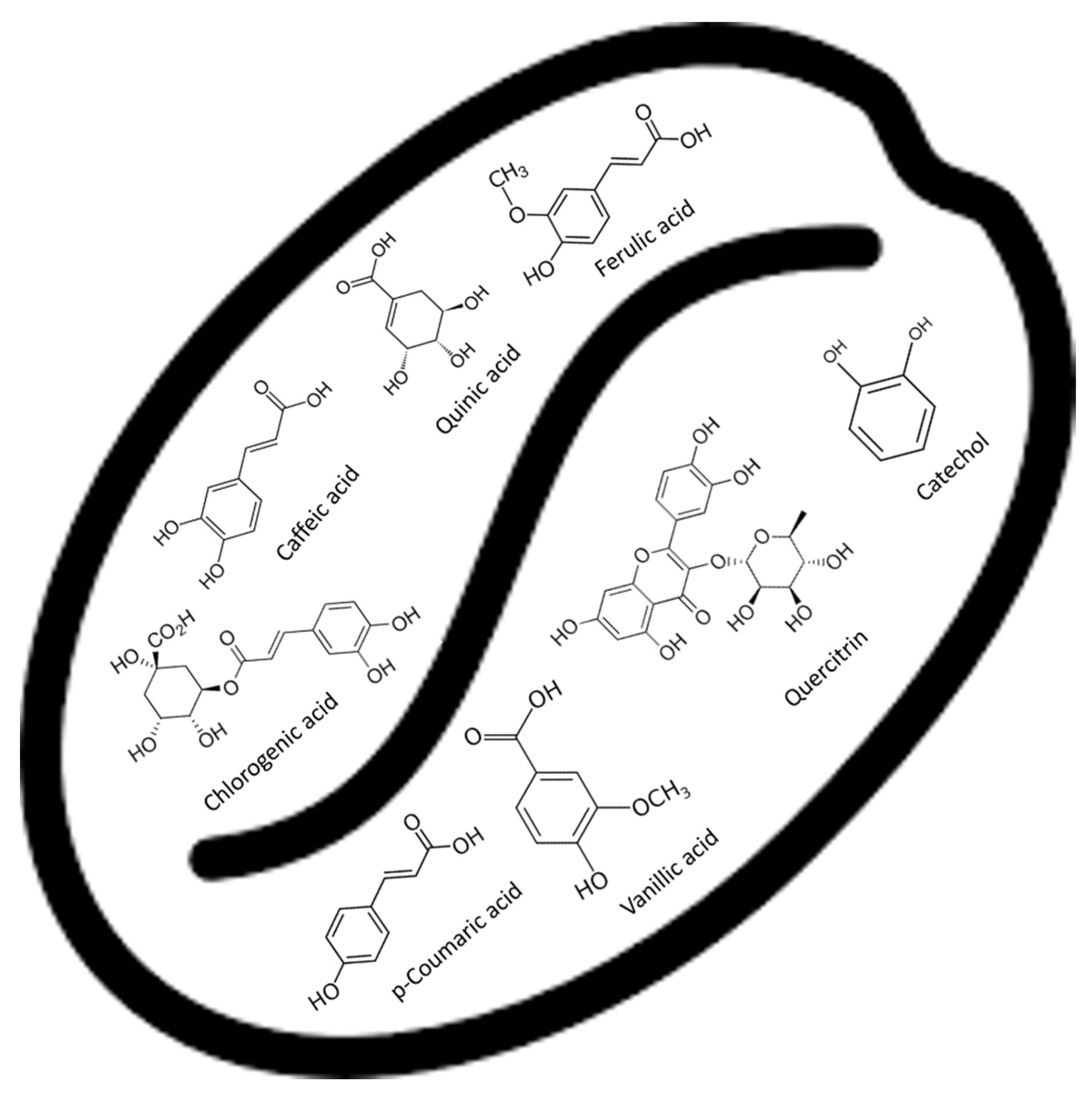 Sustainability 14 09358 g003