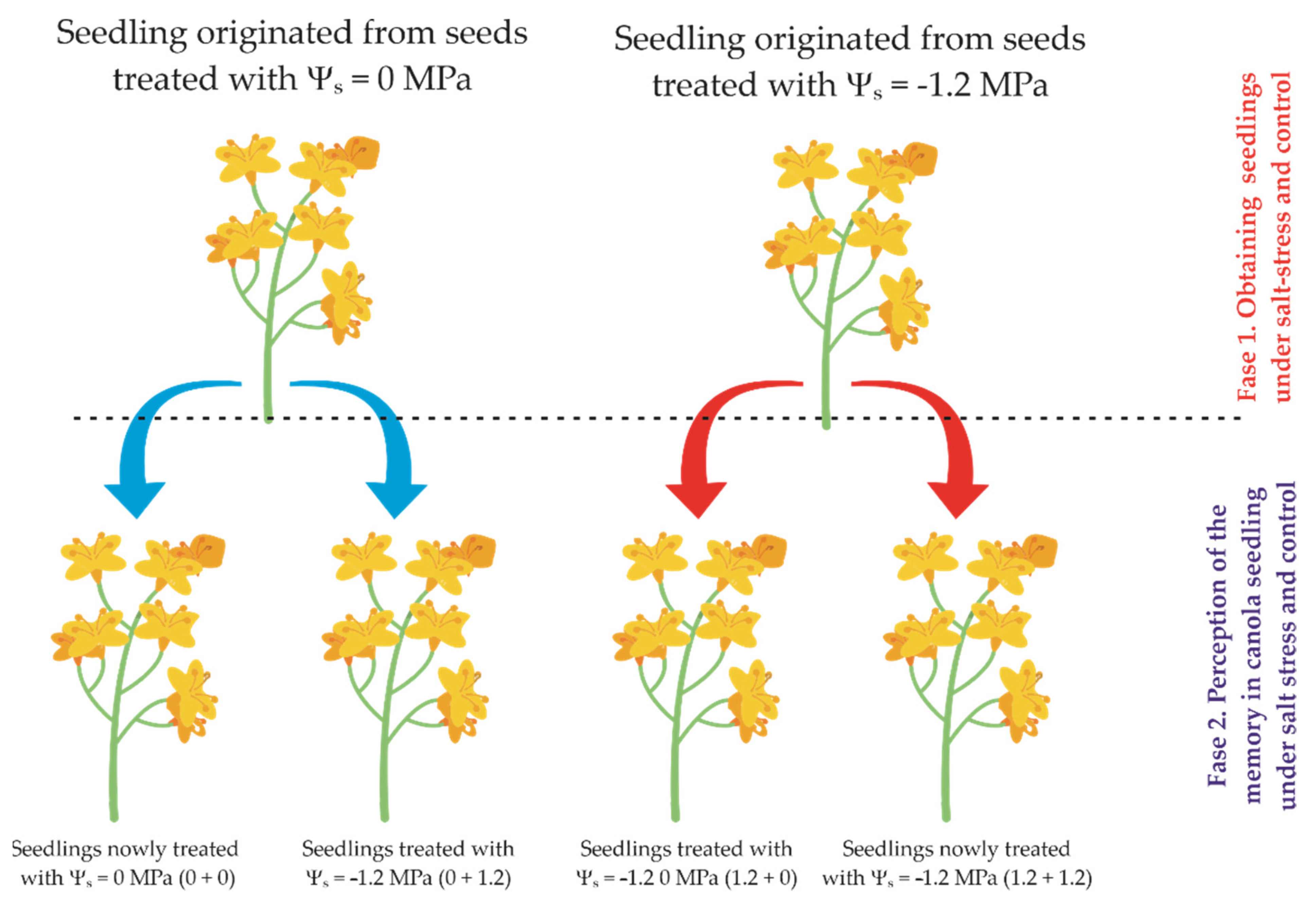 Sustainability 14 09377 g001 Sustainability 14 09377 g001