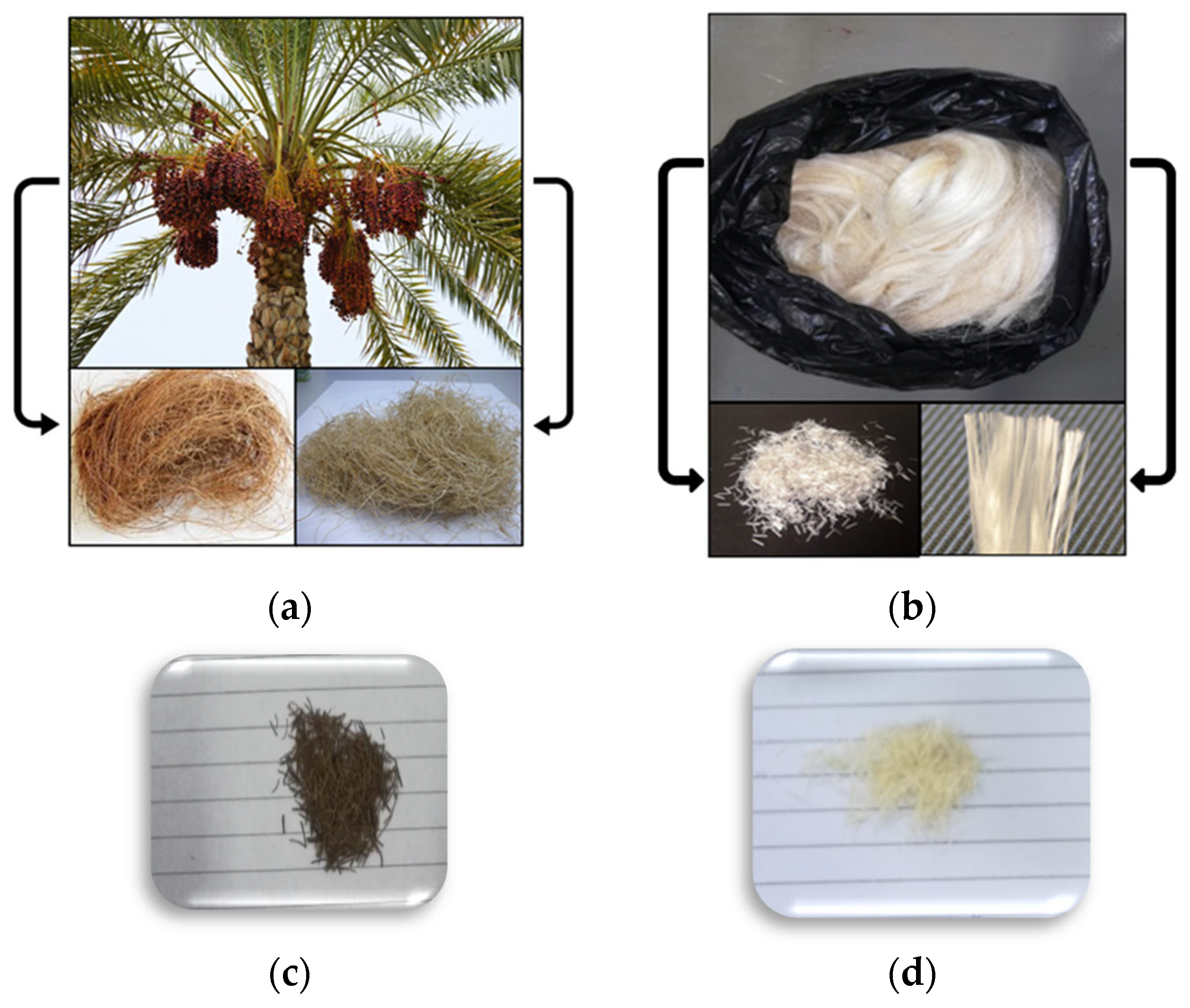 What is palm fibre discount