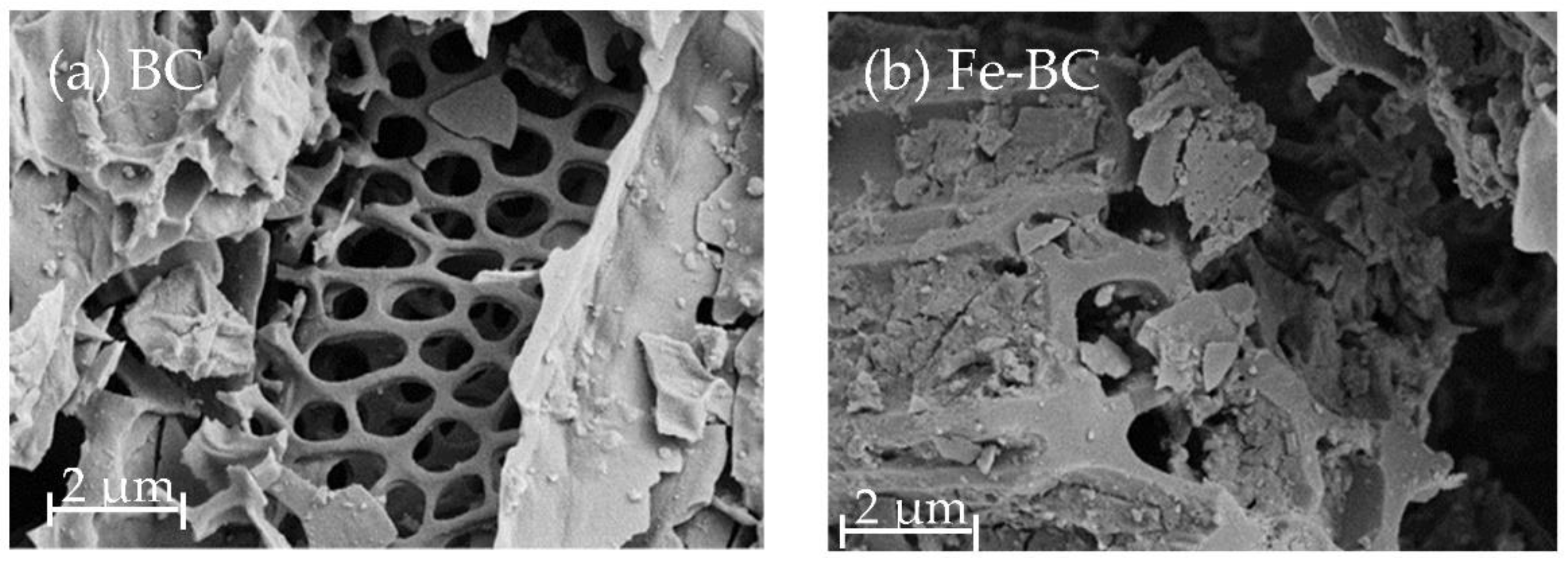 Sustainability 14 09442 g004