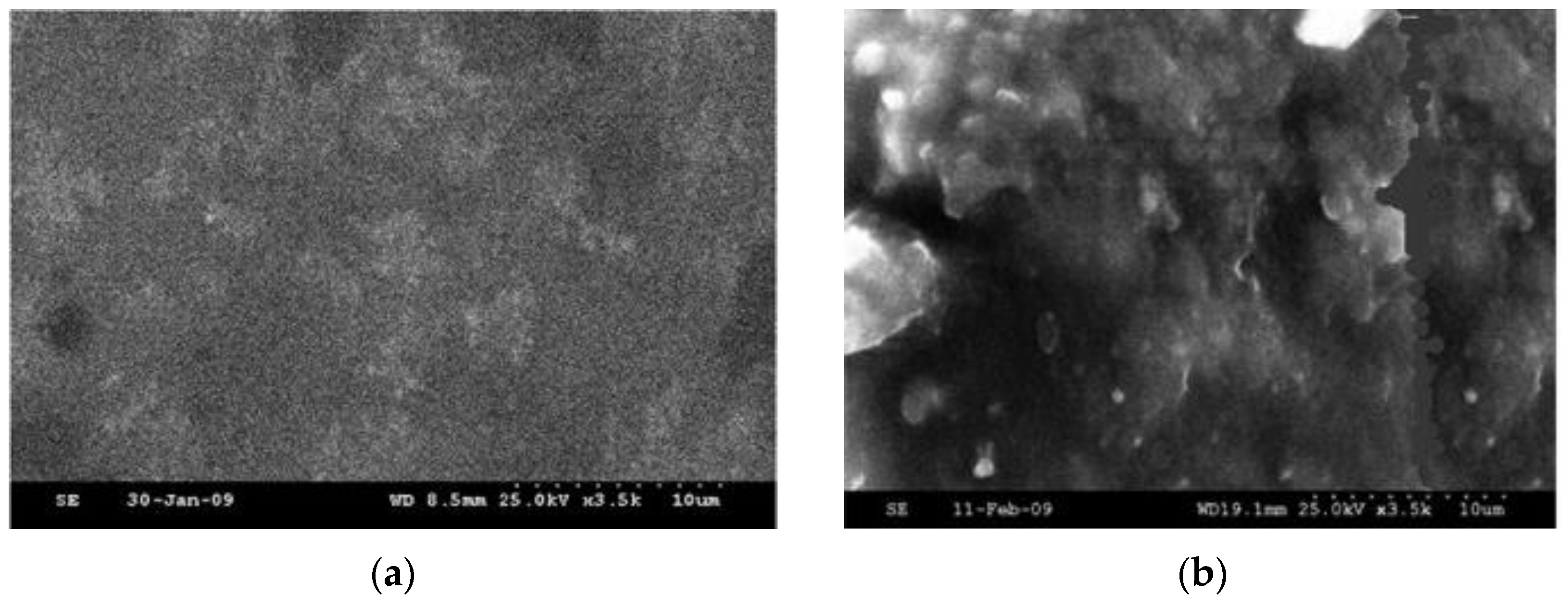 Sustainability 14 09502 g004