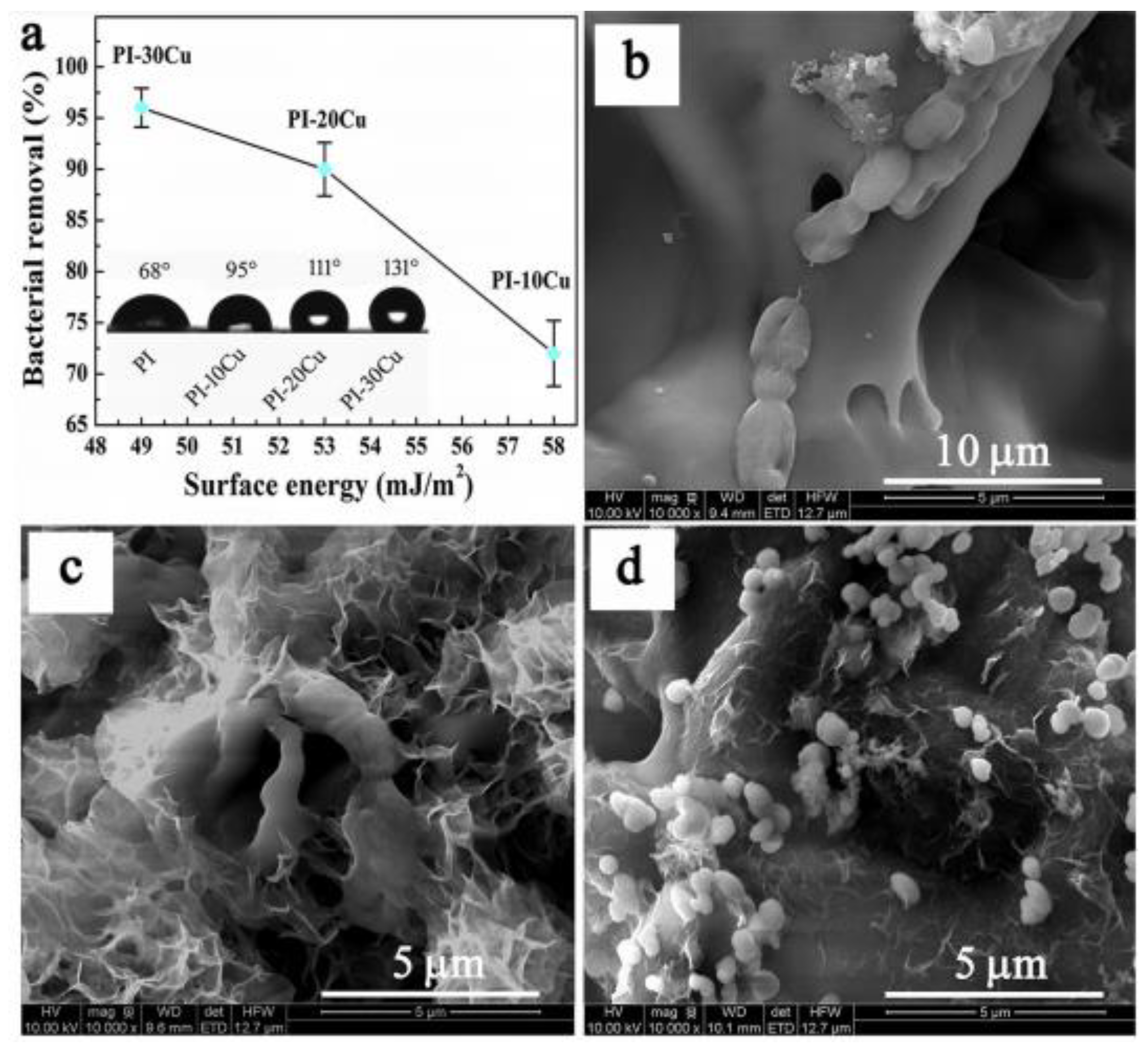 Sustainability 14 09502 g006