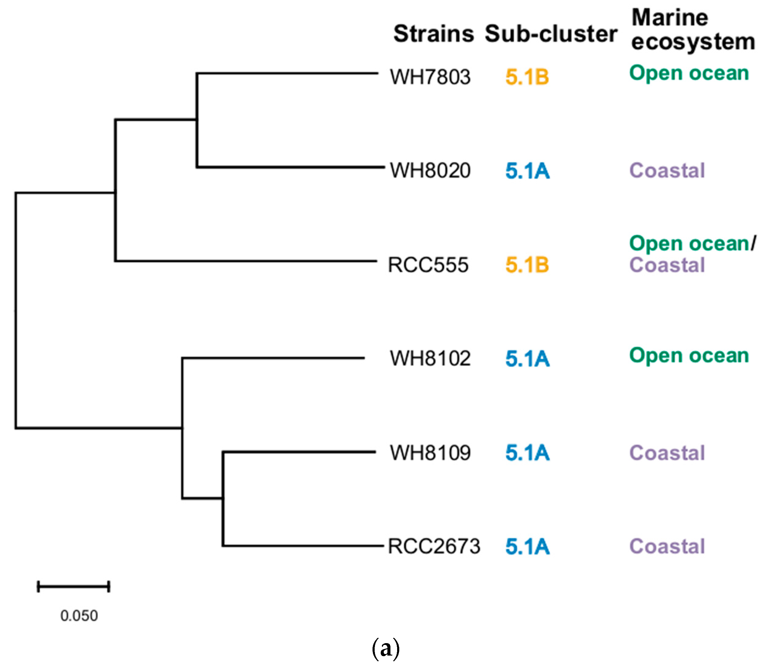 Sustainability 14 09508 g006a