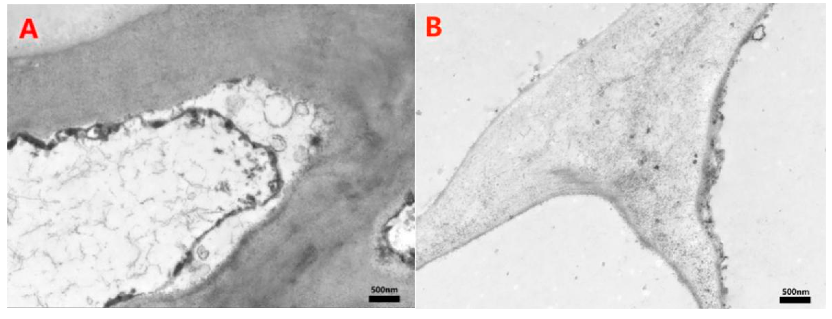 Sustainability 14 09568 g006a 550