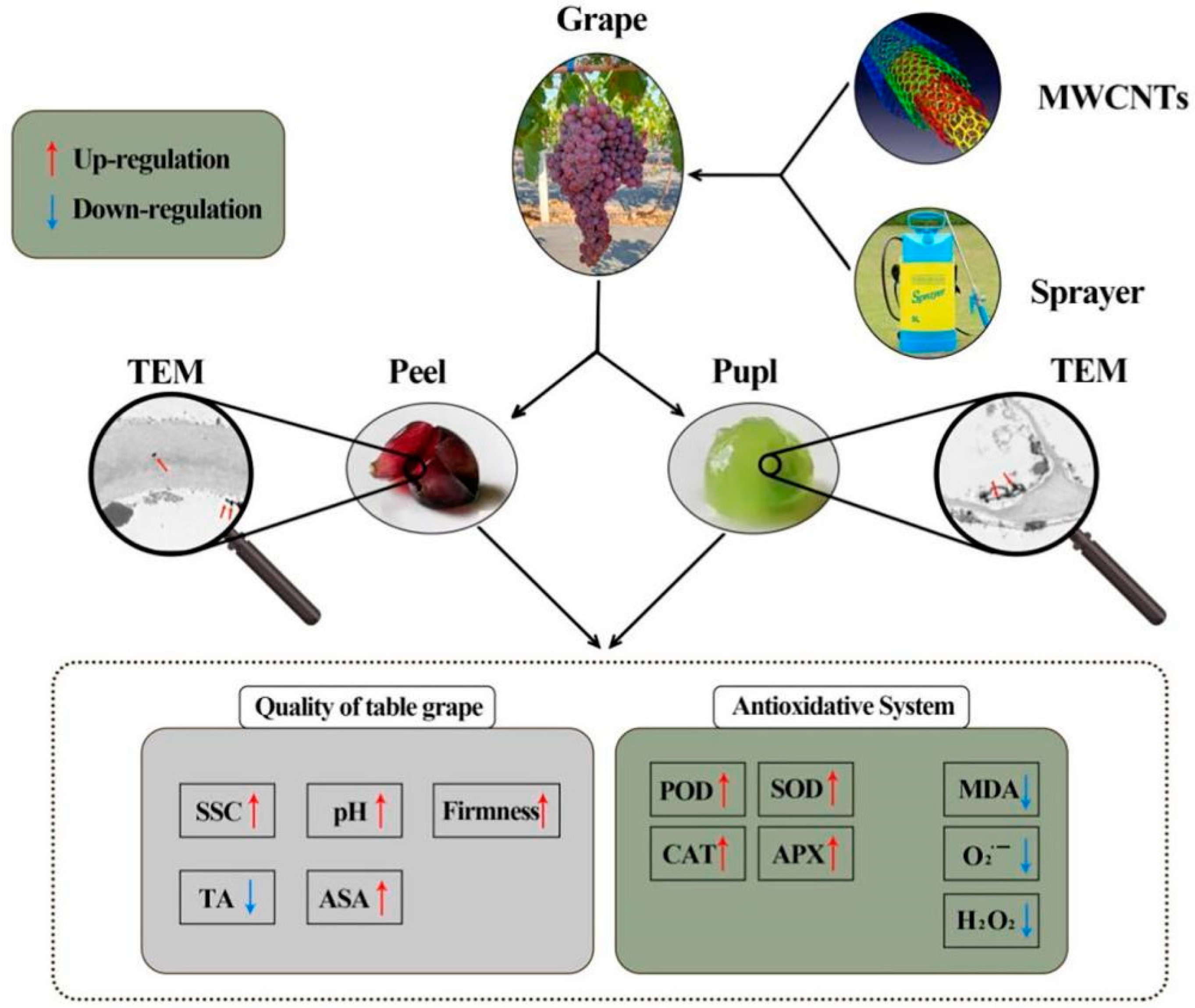 Sustainability 14 09568 g007 550