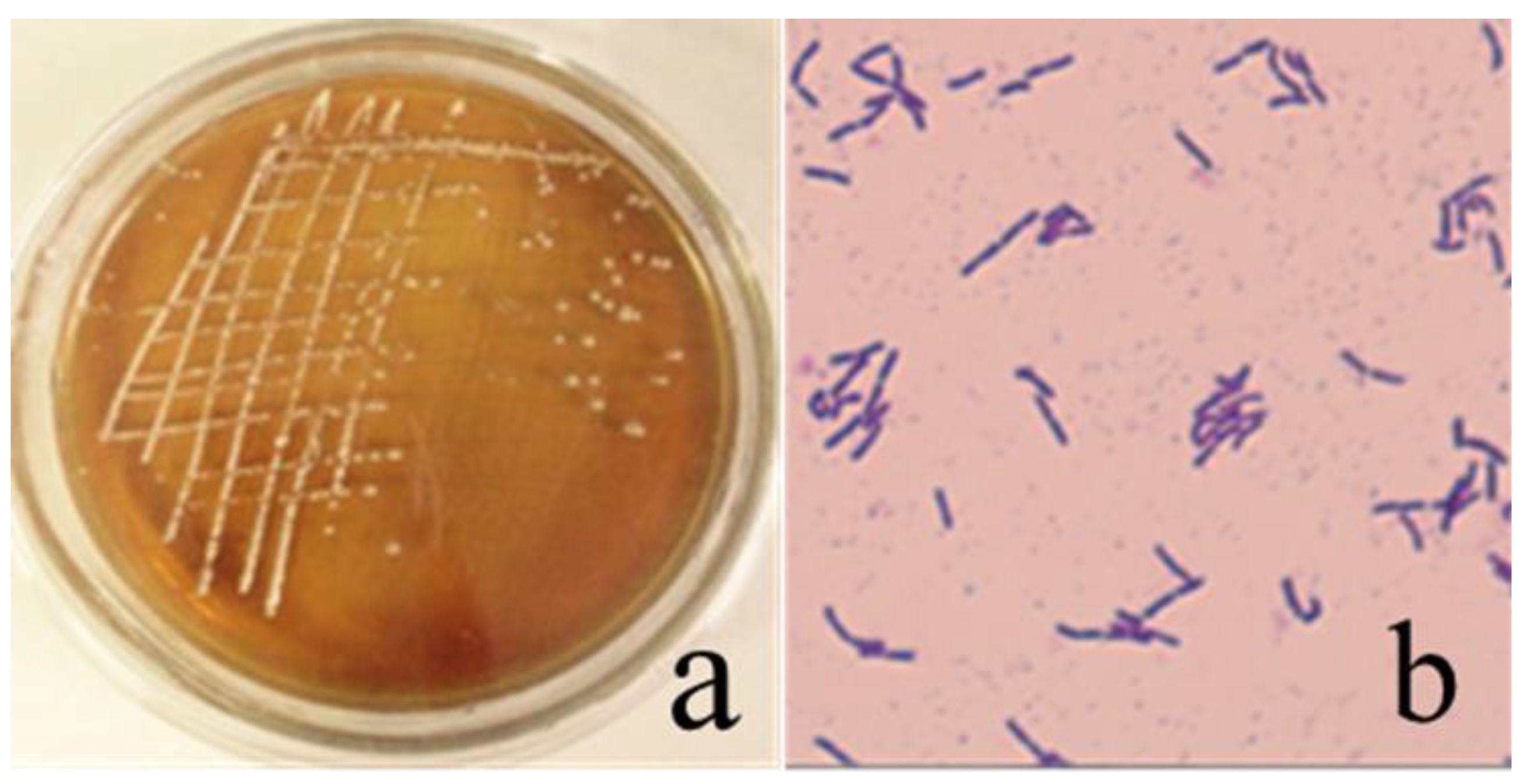 Sustainability 14 09571 g002 550