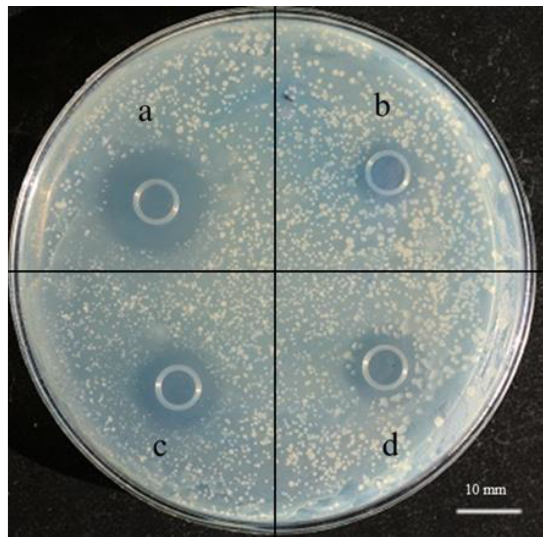 Sustainability 14 09571 g004 550