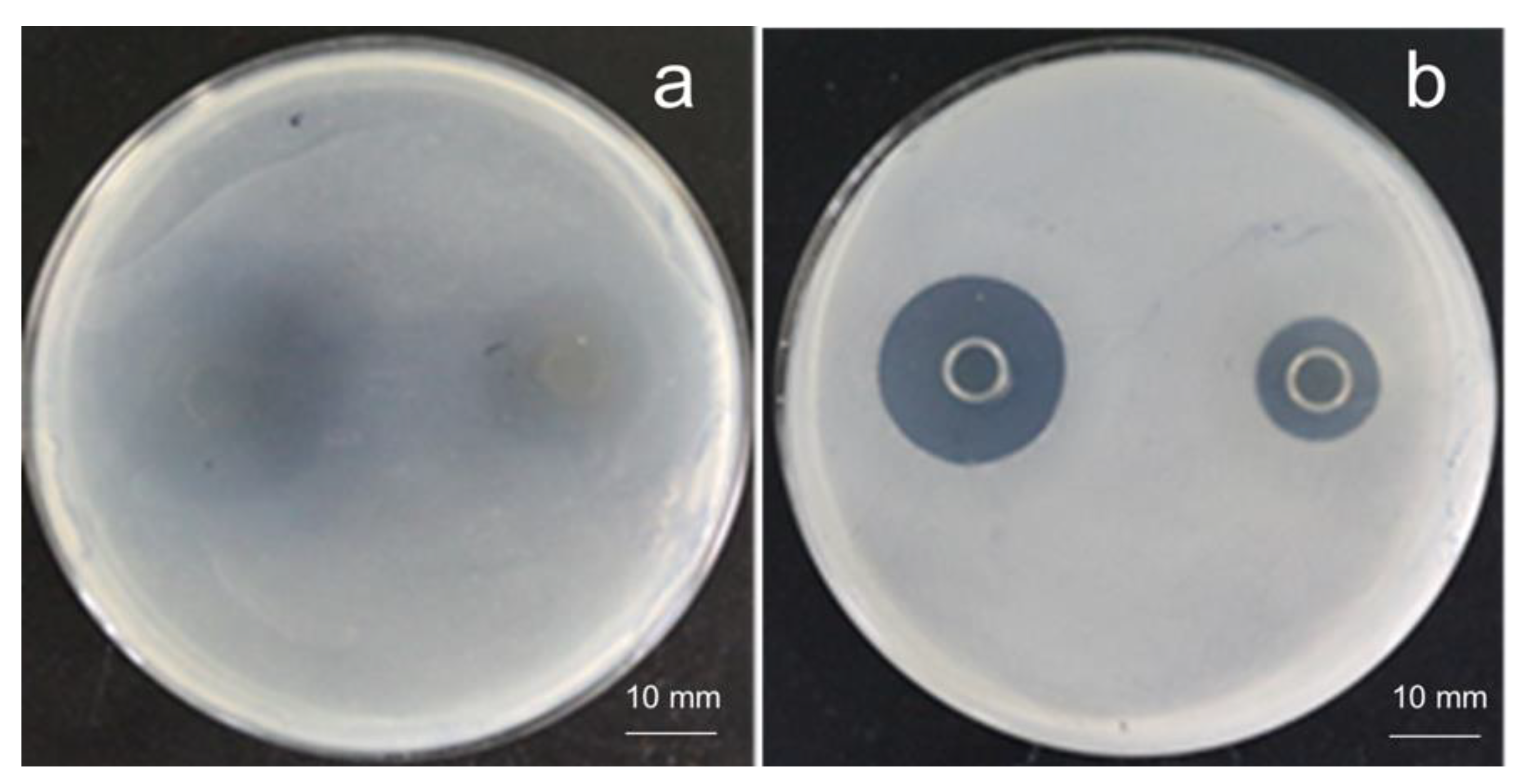 Sustainability 14 09571 g009 550