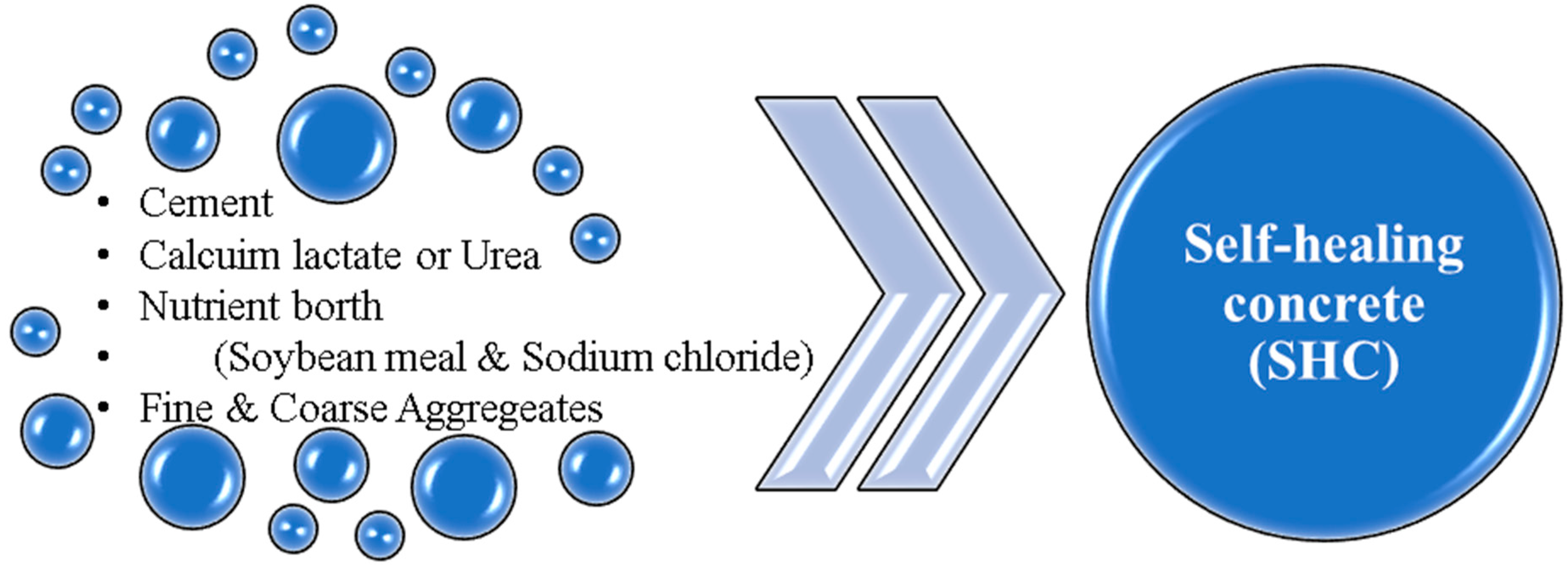 Sustainability 14 09573 g005