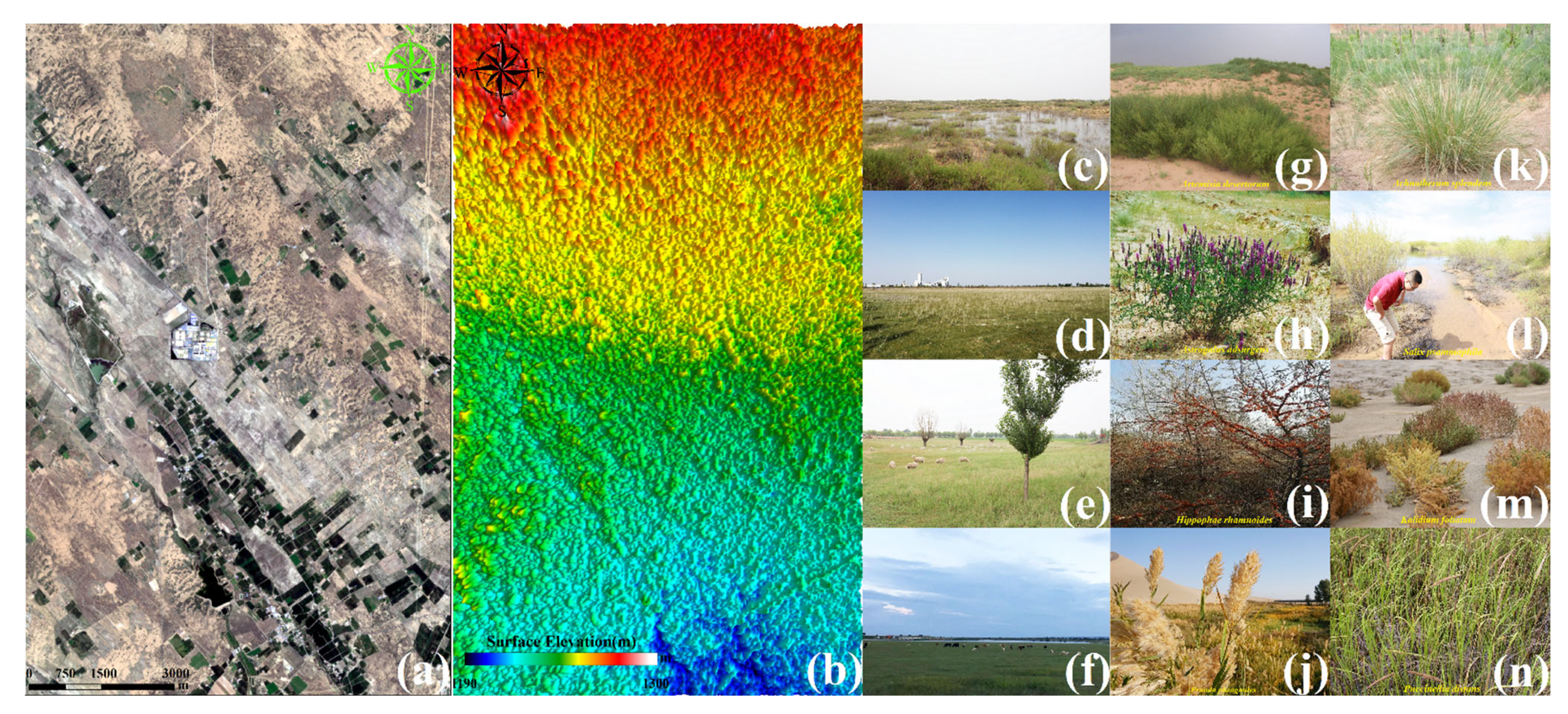 Sustainability 14 09585 g002 Sustainability 14 09585 g002