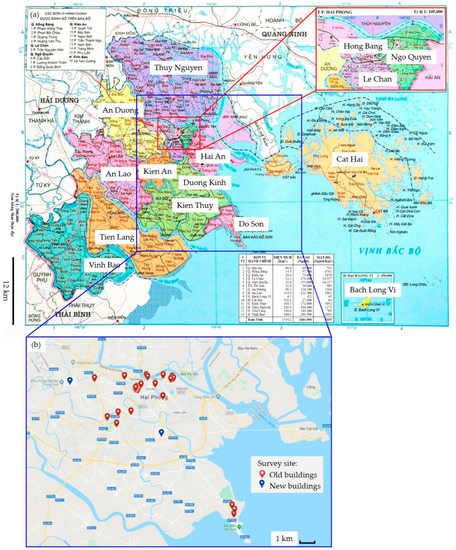 Management Assessment and Future Projections of Construction and 