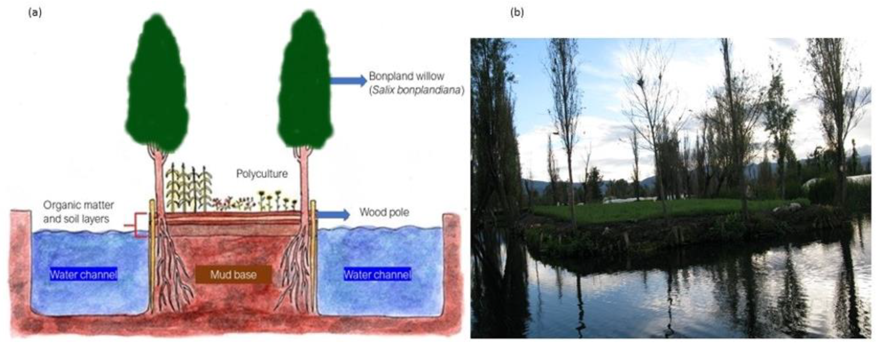 Sustainability 14 09641 g002 550