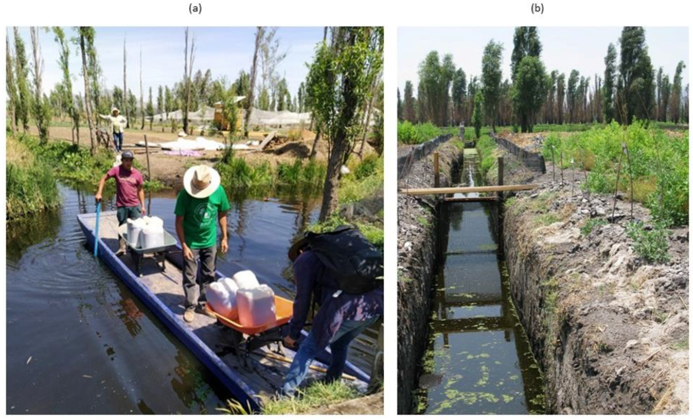 Sustainability 14 09641 g005 550