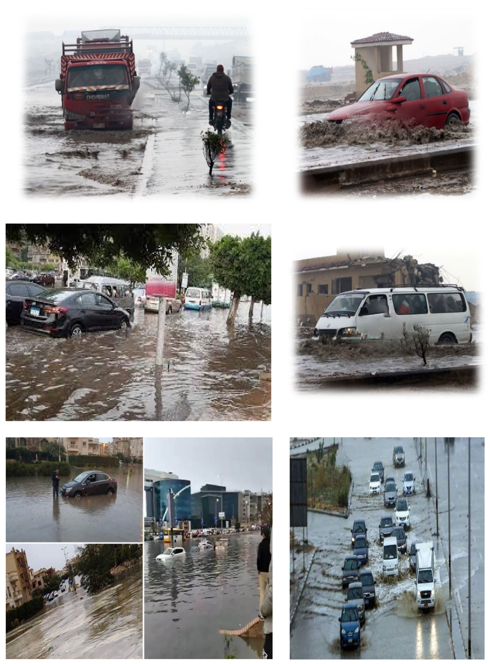 Sustainability 14 09656 g001