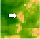 Sustainability 14 09735 i003 Sustainability 14 09735 i003