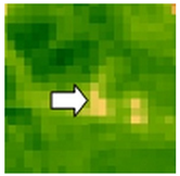 Sustainability 14 09735 i016 Sustainability 14 09735 i016