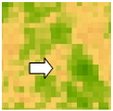 Sustainability 14 09735 i032 Sustainability 14 09735 i032