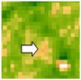 Sustainability 14 09735 i033 Sustainability 14 09735 i033