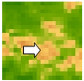 Sustainability 14 09735 i034 Sustainability 14 09735 i034