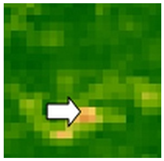 Sustainability 14 09735 i043 Sustainability 14 09735 i043