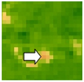 Sustainability 14 09735 i044 Sustainability 14 09735 i044