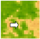 Sustainability 14 09735 i050 Sustainability 14 09735 i050