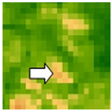 Sustainability 14 09735 i052 Sustainability 14 09735 i052