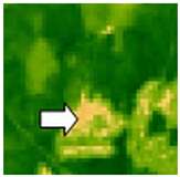 Sustainability 14 09735 i060 Sustainability 14 09735 i060