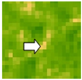 Sustainability 14 09735 i063 Sustainability 14 09735 i063