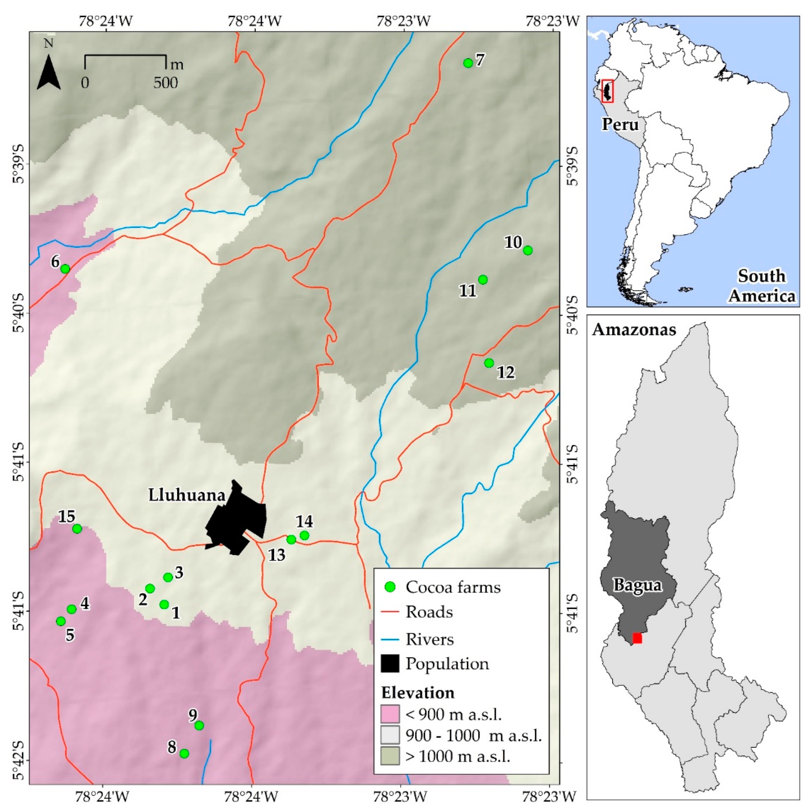 Sustainability 14 09739 g001