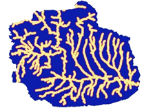 Sustainability 14 09810 i006