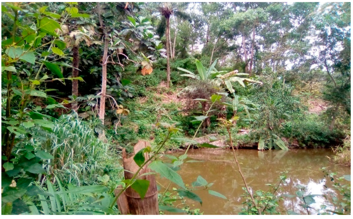 Sustainability 14 09841 g002