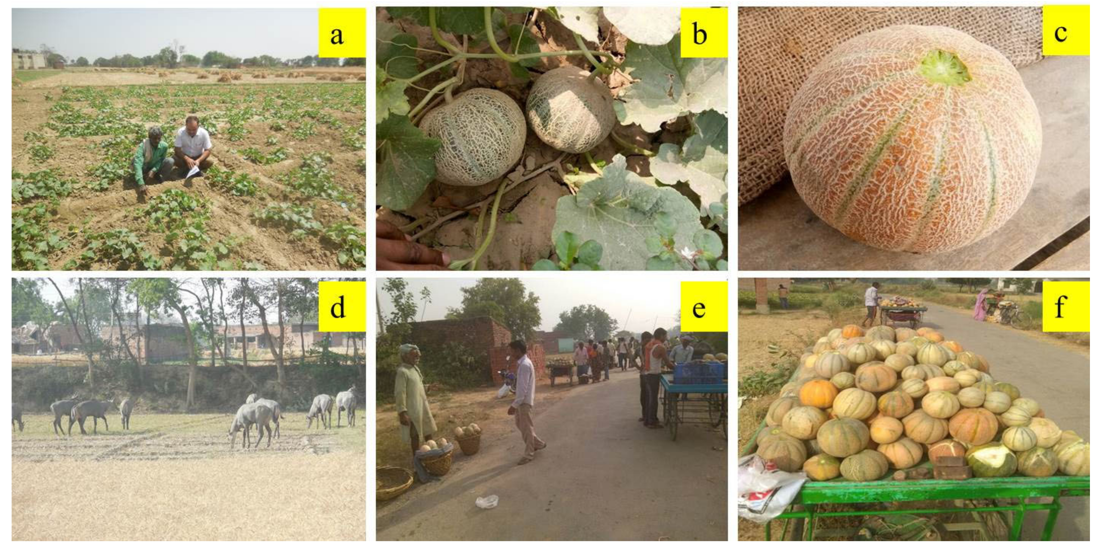 Sustainability 14 09880 g002 550