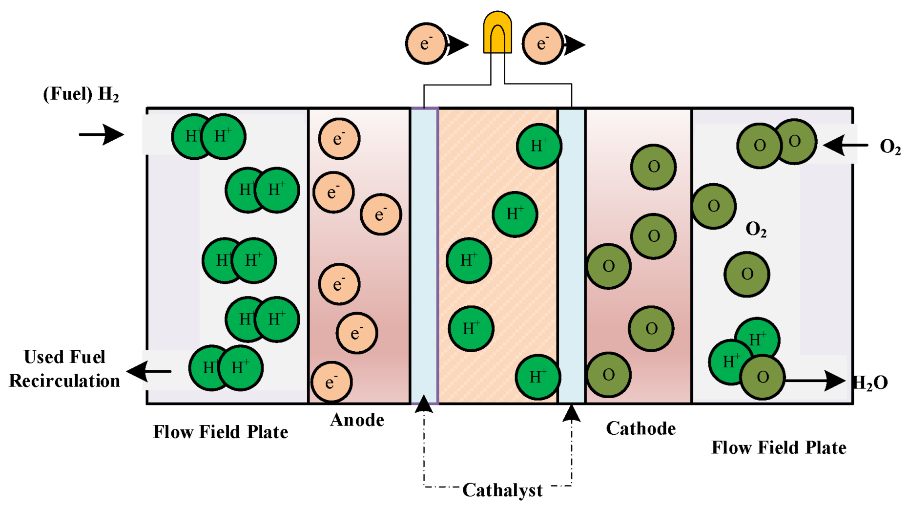 Sustainability 14 09882 g001 550