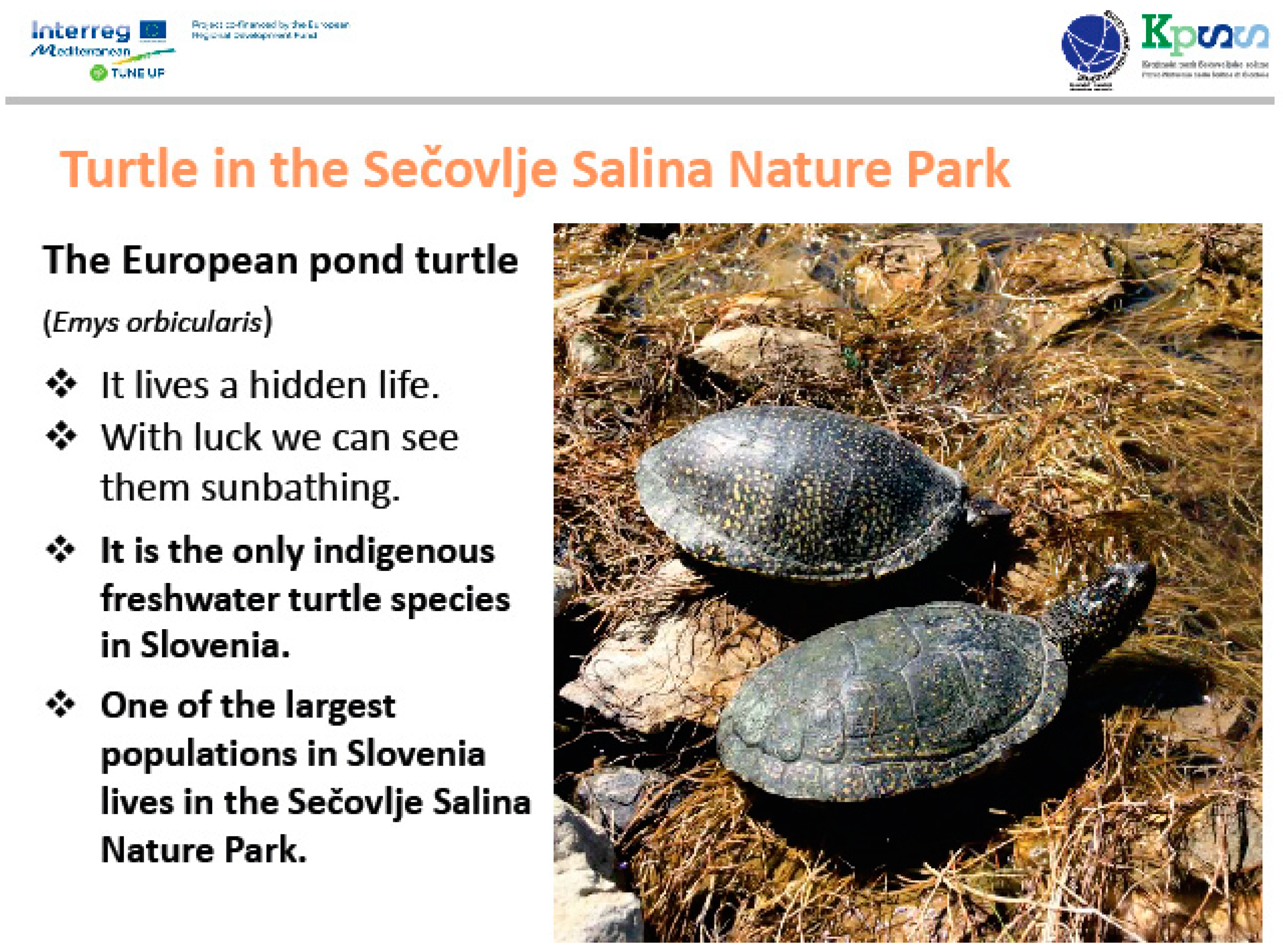 Sustainability 14 09920 g005