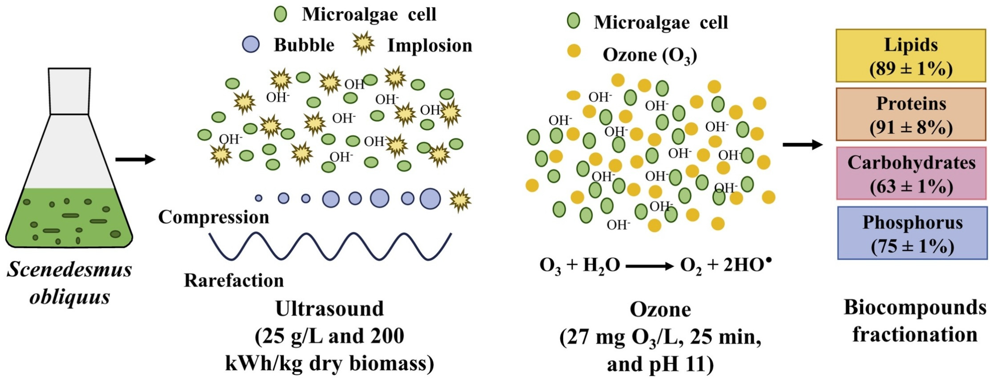 Sustainability 14 09953 g004 Sustainability 14 09953 g004