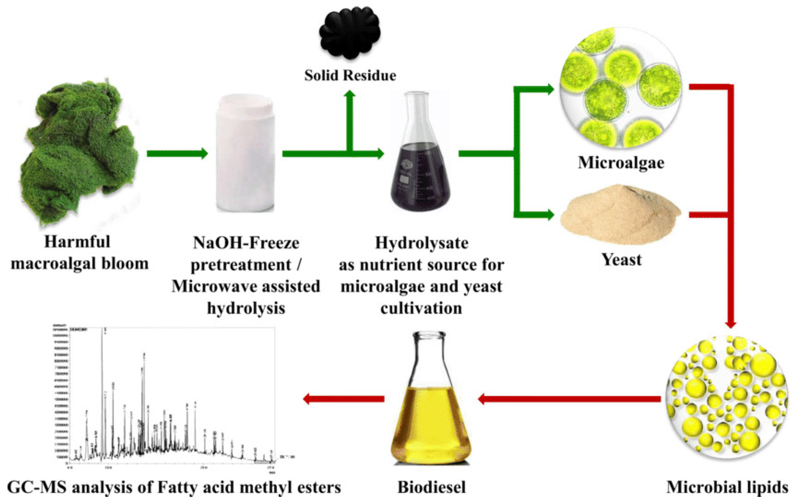 Sustainability 14 09953 g006 Sustainability 14 09953 g006