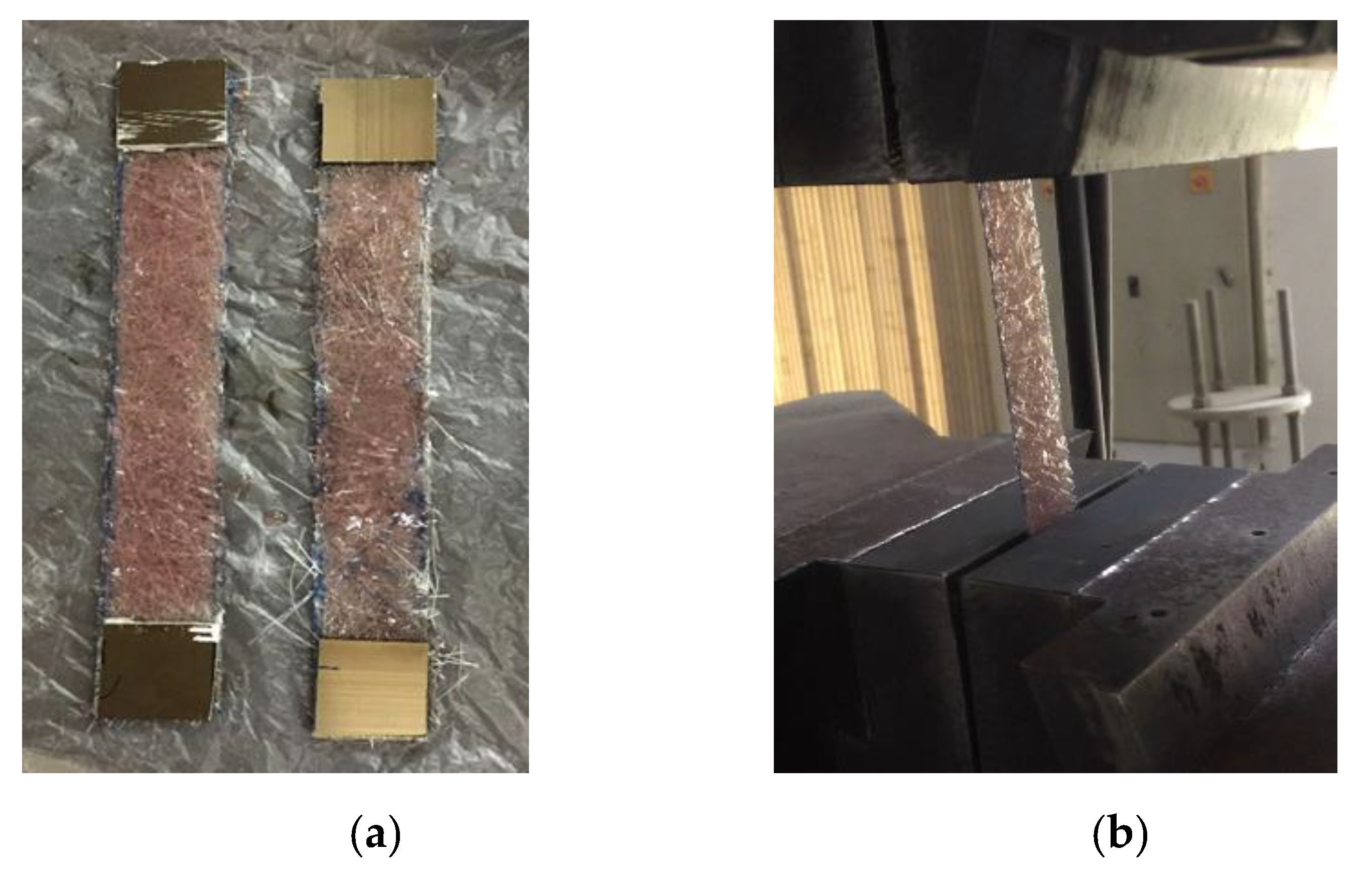 Sustainability 14 09989 g001 550