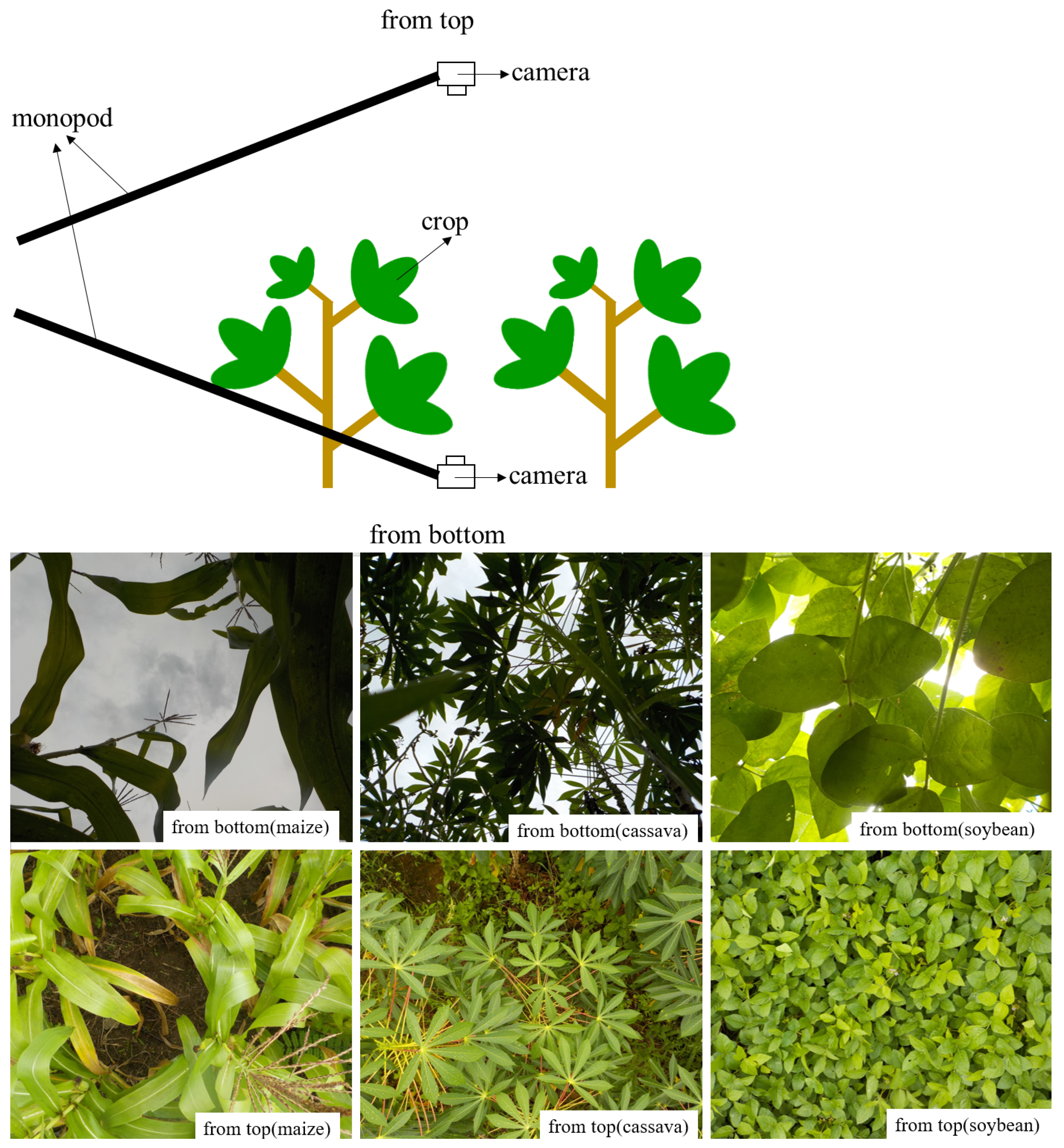 Sustainability 14 10007 g001 550