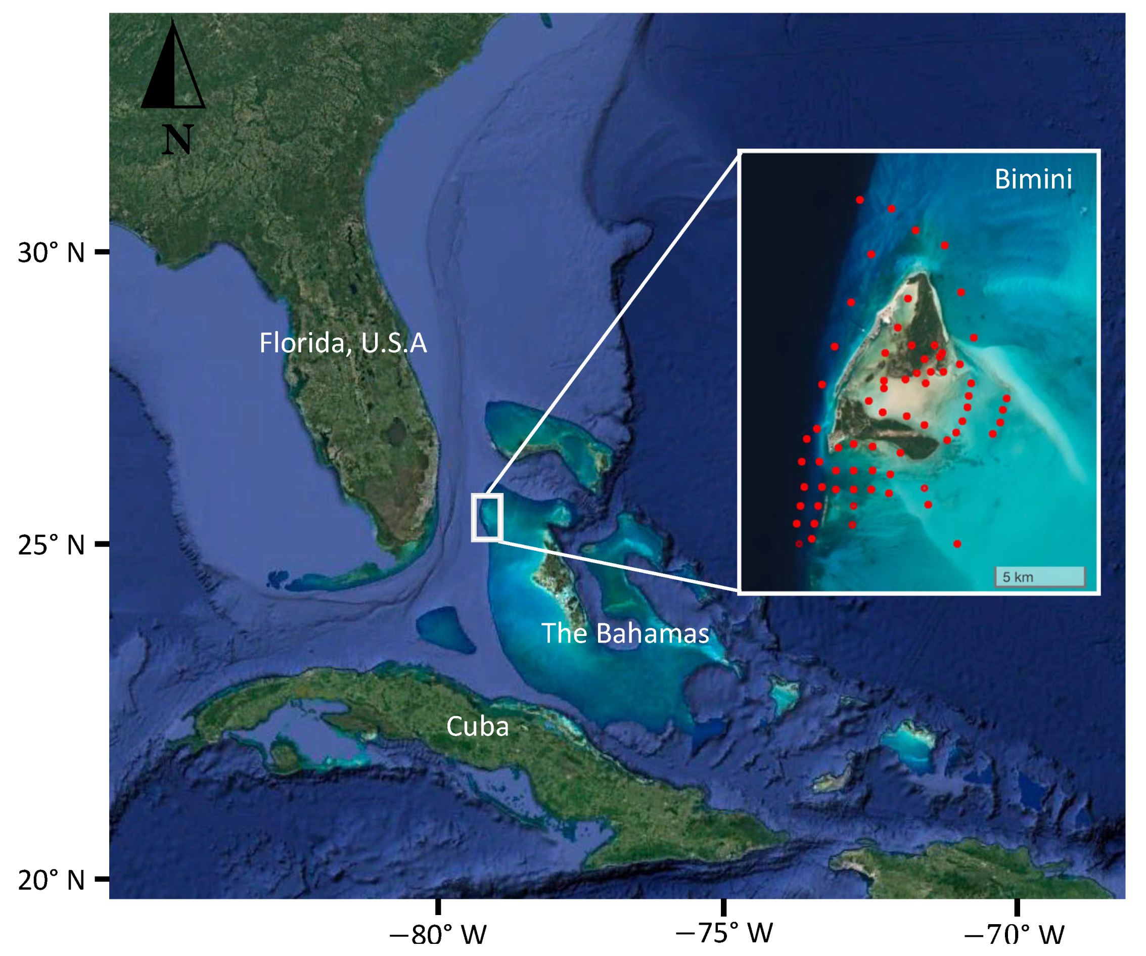 Sustainability 14 10017 g001 550