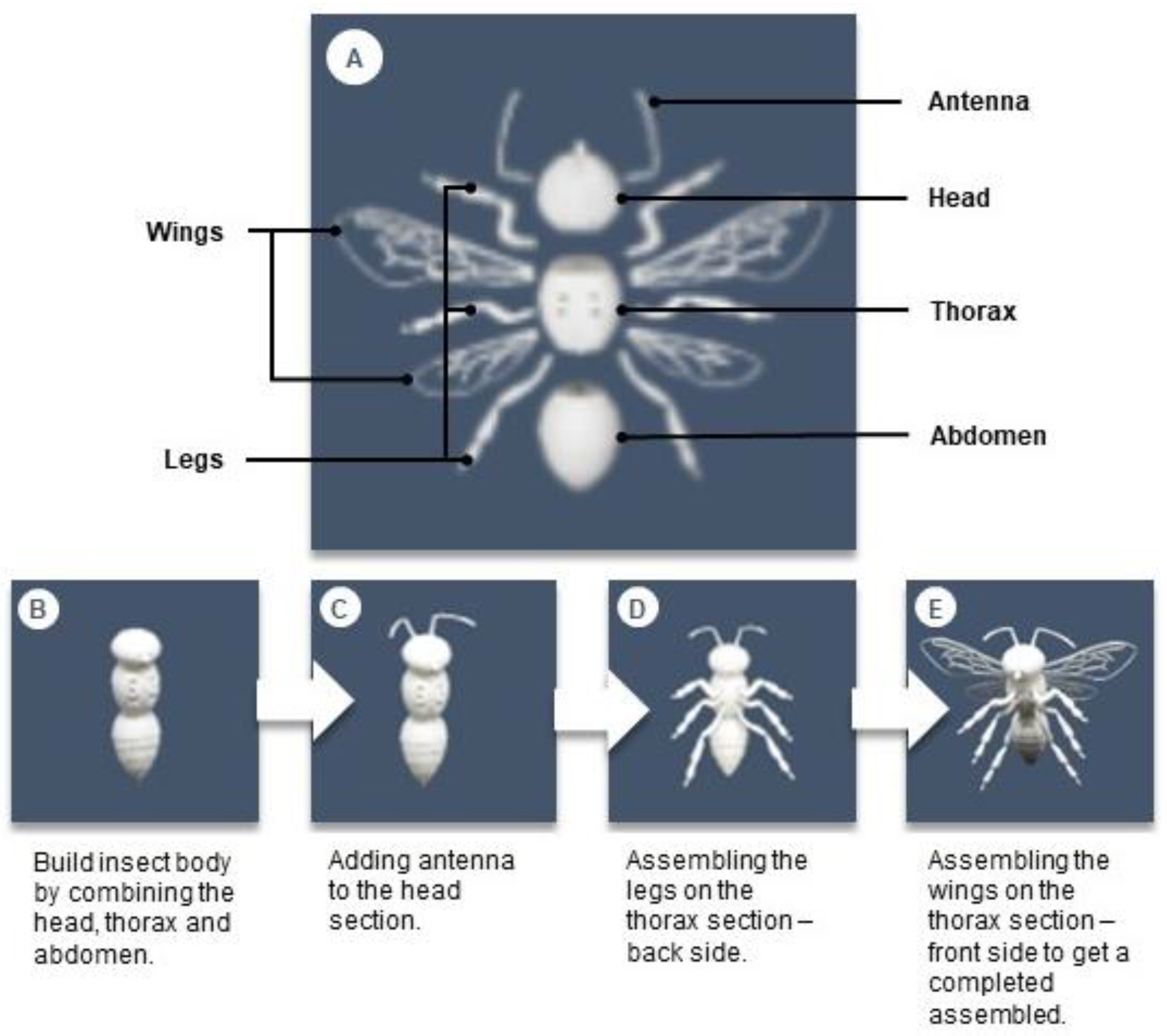 Sustainability 14 10067 g003