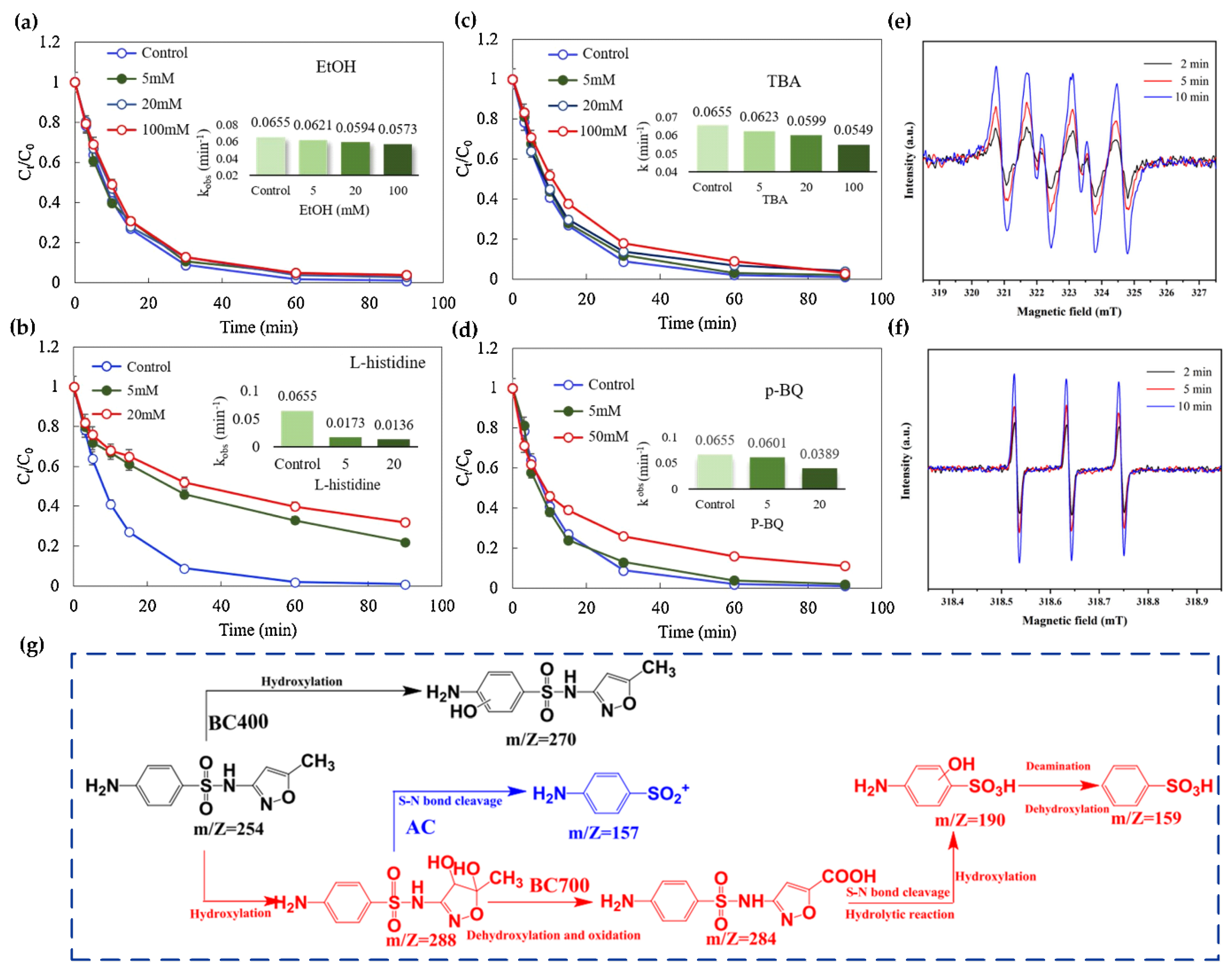 Sustainability 14 10128 g005