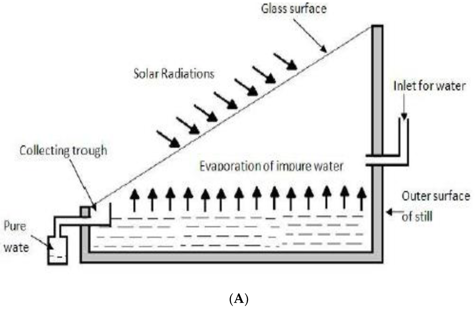 Sustainability 14 10136 g001a 550