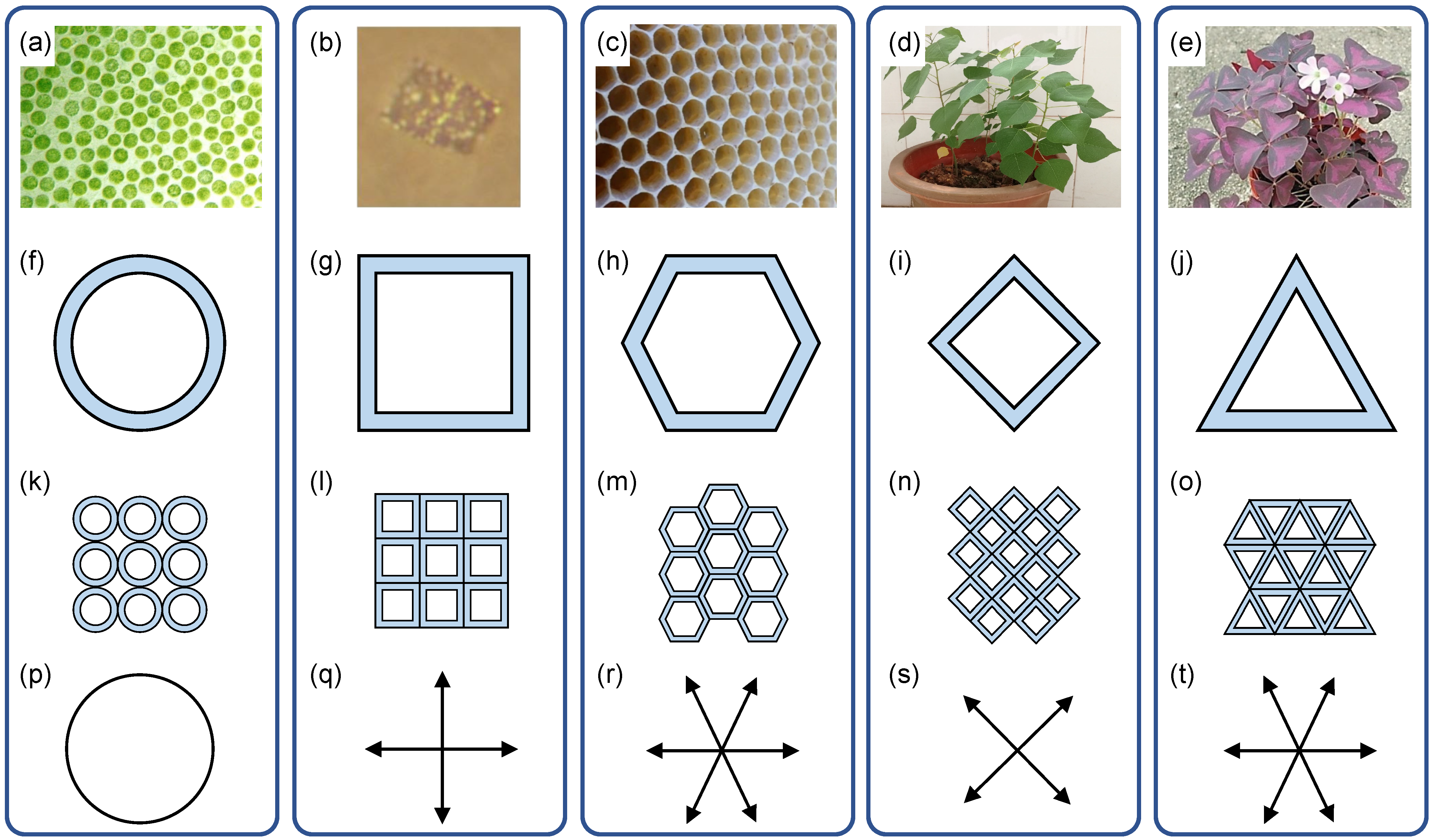 Sustainability 14 10141 g001